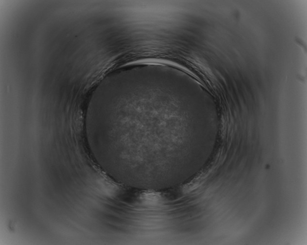 X0000093130413200709261352