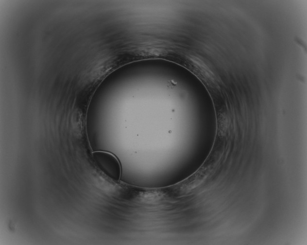 X0000093130414200709261352