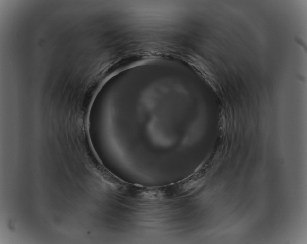 X0000093130415200709261352