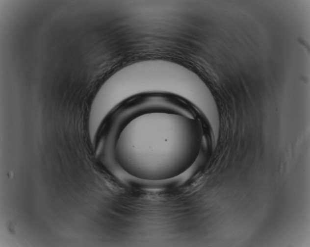 X0000093130416200709261352