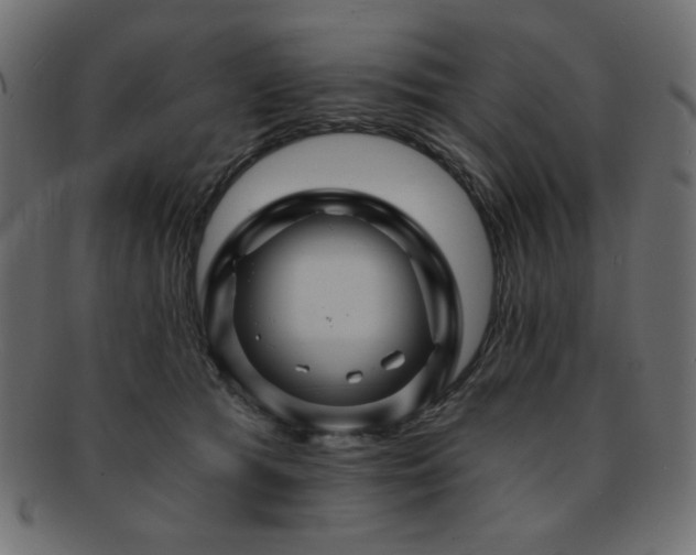 X0000093130417200709261352