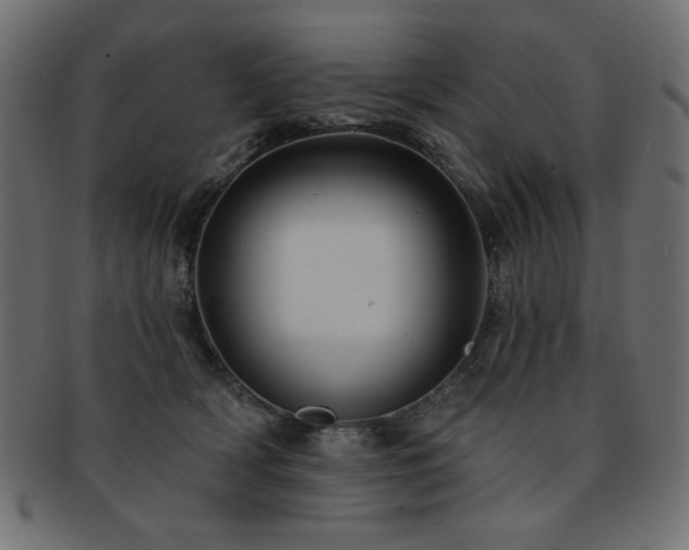 X0000093130418200709261352