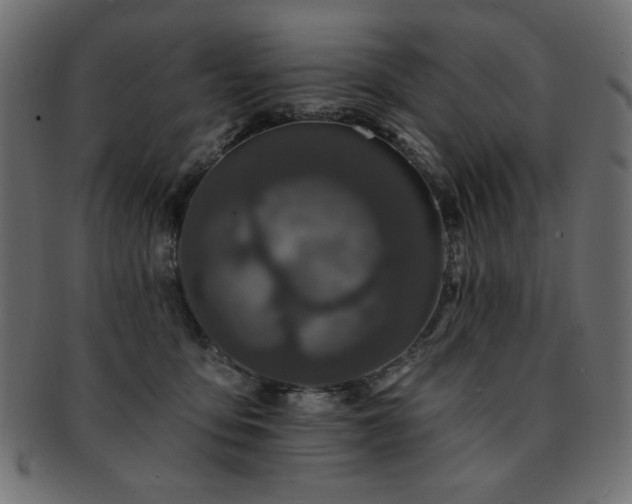 X0000093130419200709261352