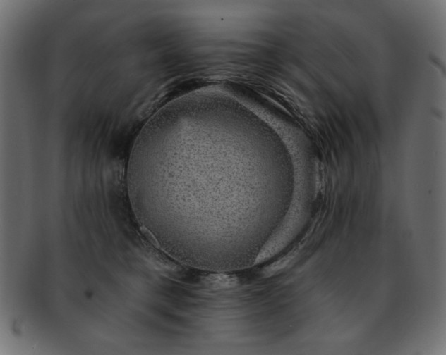 X0000093130421200709261352