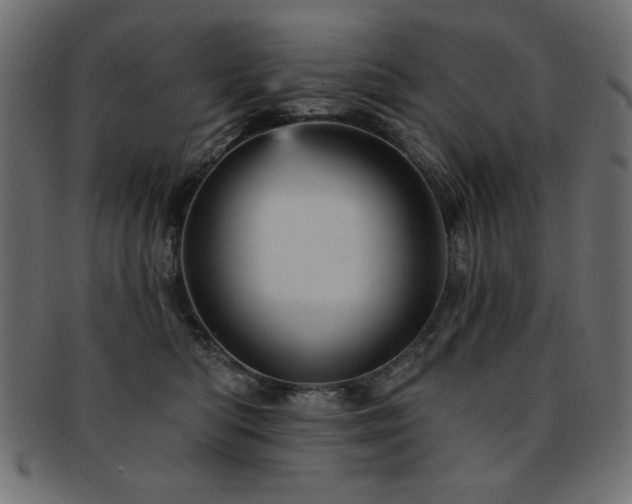 X0000093130422200709261352