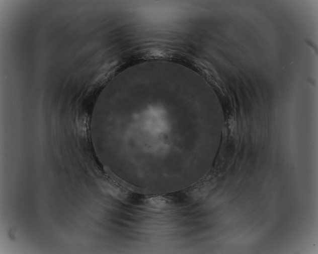 X0000093130423200709261352