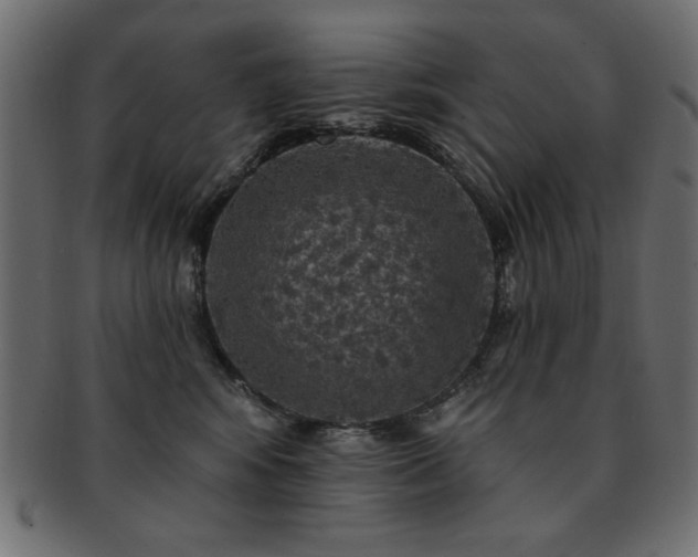X0000093130424200709261352