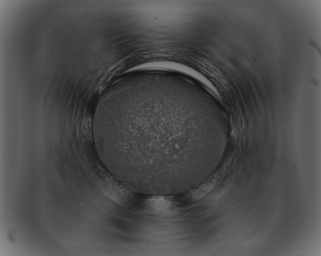 X0000093130425200709261352