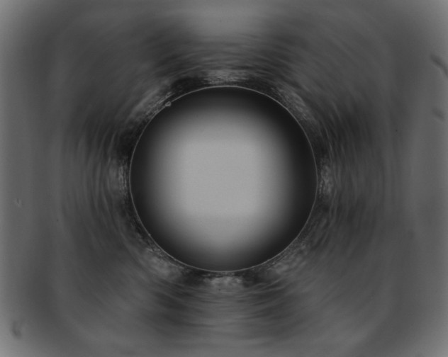 X0000093130426200709261352