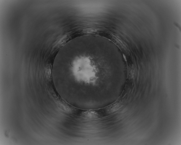 X0000093130427200709261352