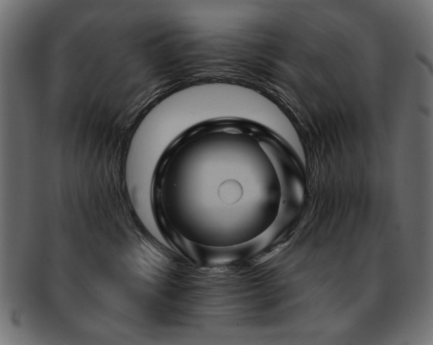 X0000093130428200709261352