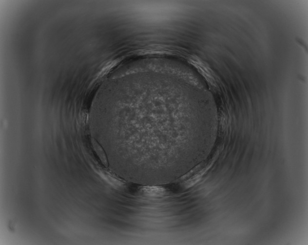 X0000093130429200709261352
