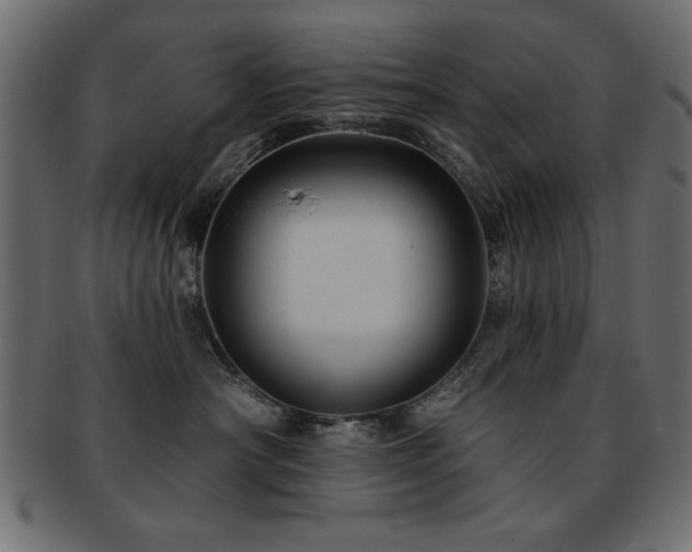 X0000093130430200709261352
