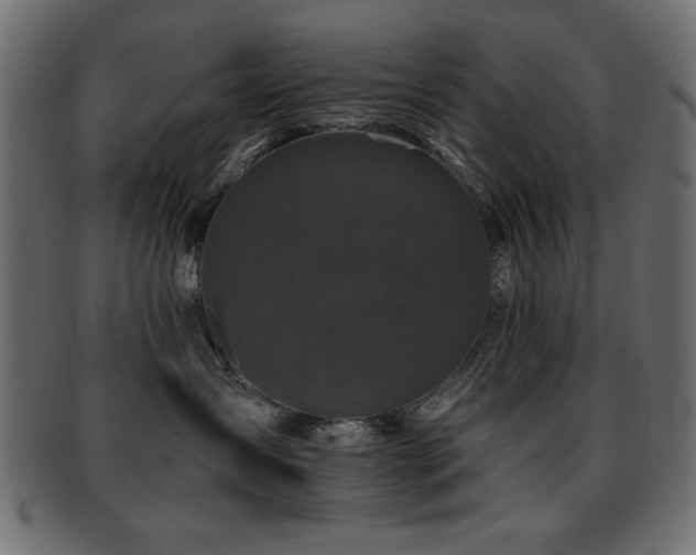 X0000093130431200709261352