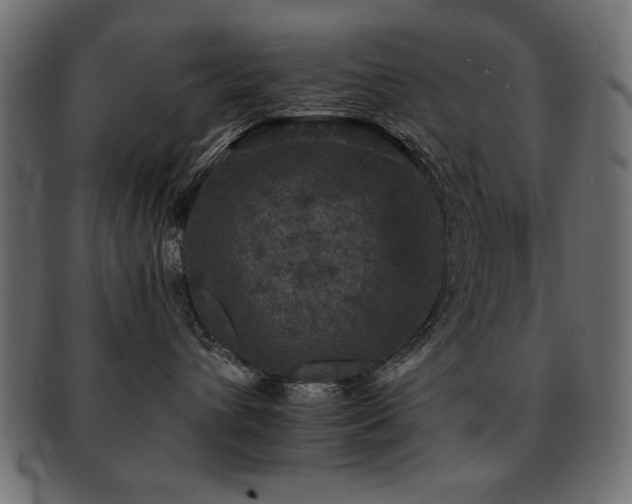 X0000093130432200709261352