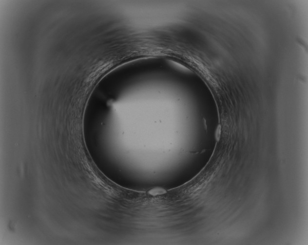 X0000093130433200709261351