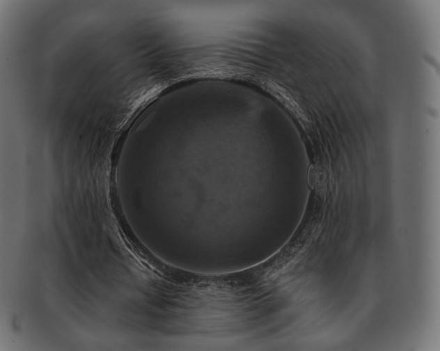 X0000093130434200709261351