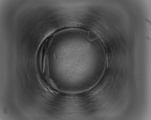 X0000093130435200709261351