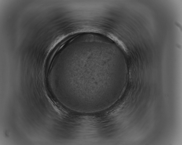 X0000093130436200709261351