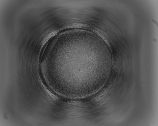X0000093130437200709261351
