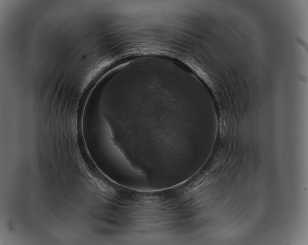 X0000093130438200709261351