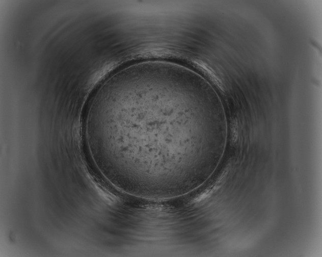 X0000093130439200709261351