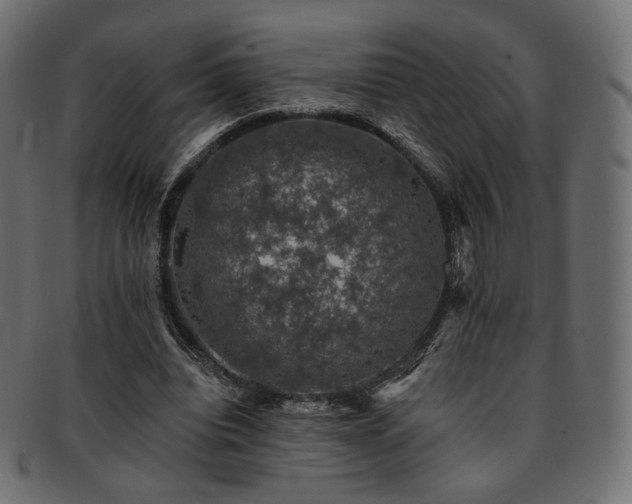 X0000093130440200709261351