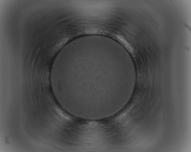 X0000093130441200709261351