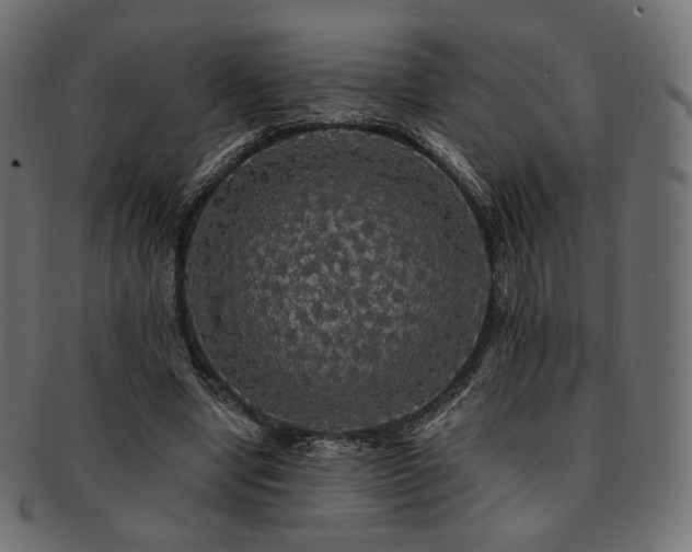 X0000093130442200709261351