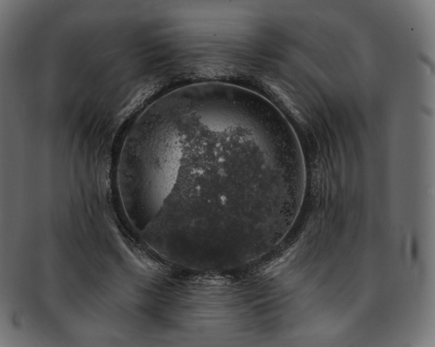 X0000093130443200709261351
