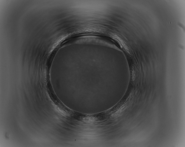X0000093130444200709261351