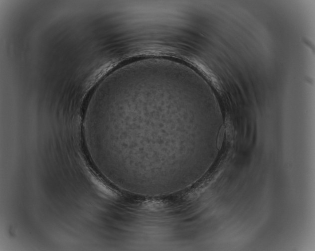 X0000093130445200709261351