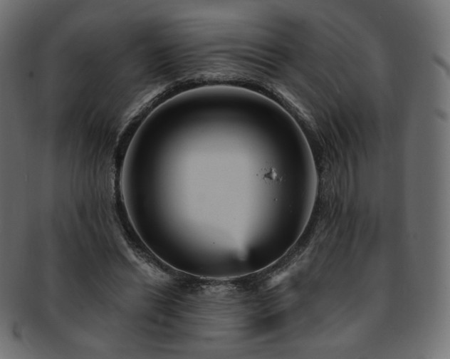 X0000093130446200709261351