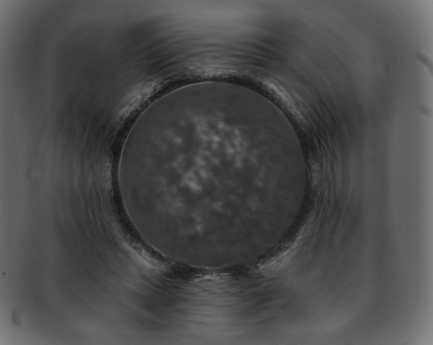 X0000093130447200709261351