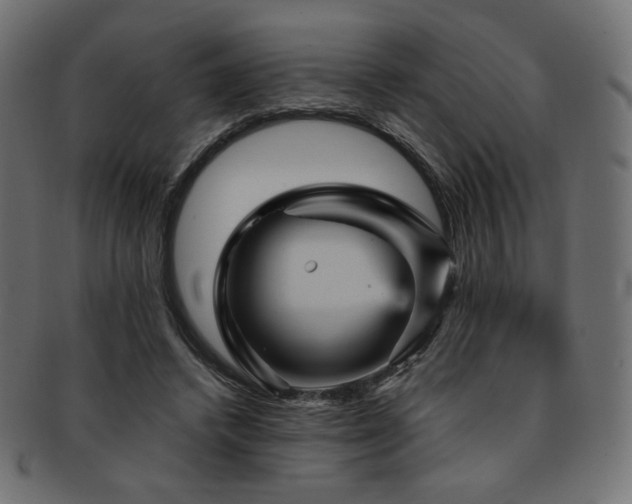 X0000093130448200709261351