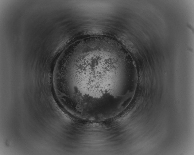 X0000093130449200709261351