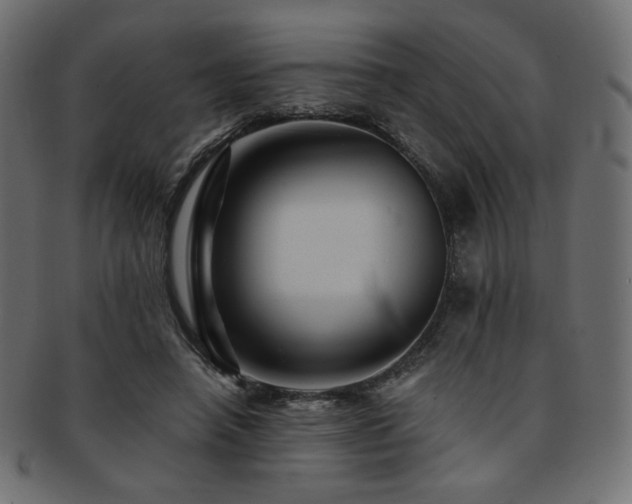 X0000093130450200709261351