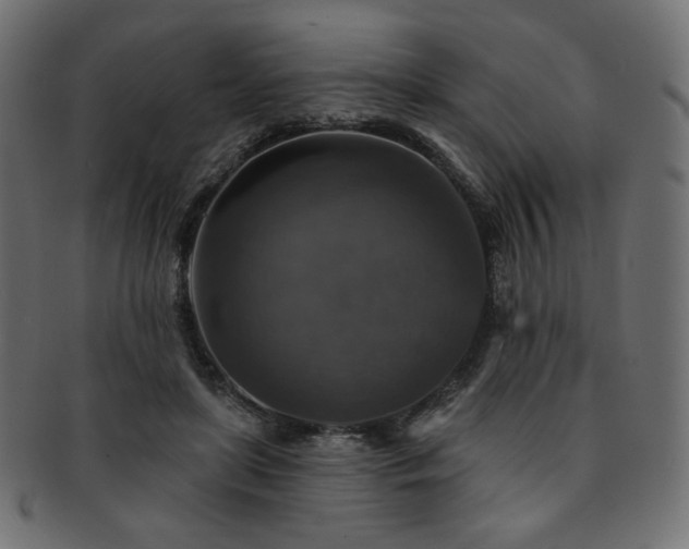 X0000093130451200709261352