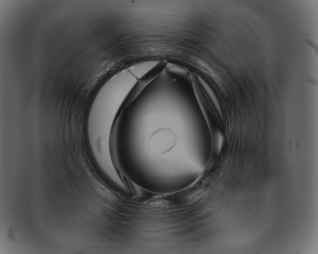 X0000093130452200709261352