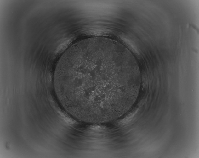 X0000093130453200709261352
