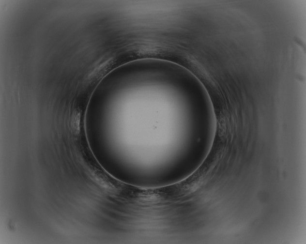 X0000093130454200709261352