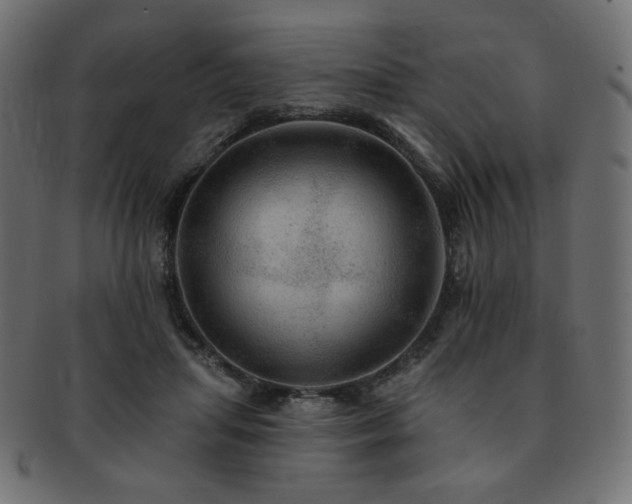 X0000093130455200709261352