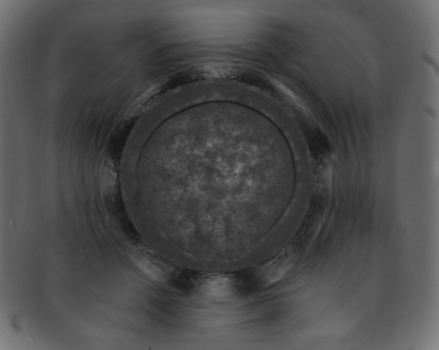 X0000093130456200709261352