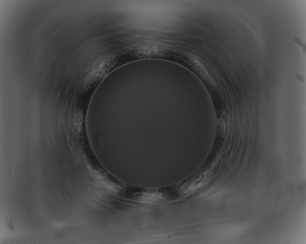 X0000093130458200709261352