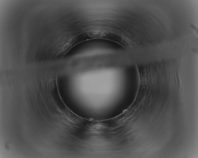 X0000093130460200709261352
