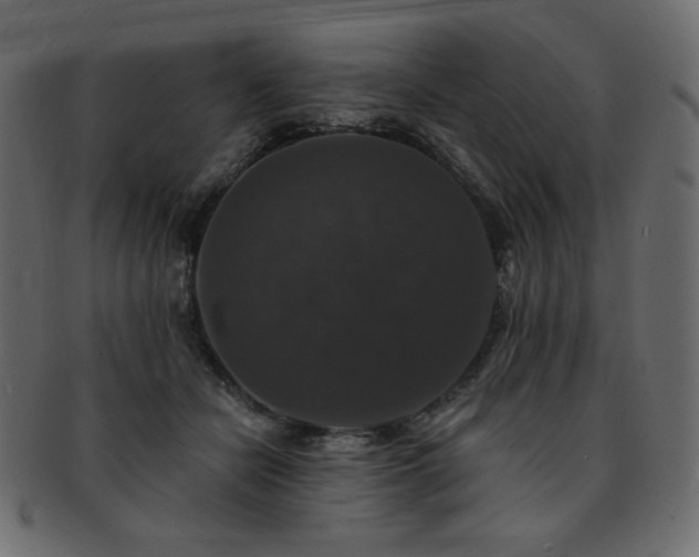 X0000093130462200709261352