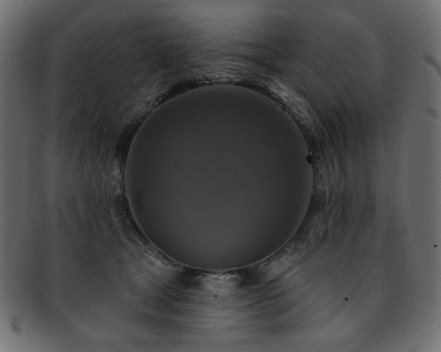 X0000093130465200709261352