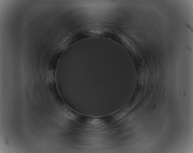 X0000093130467200709261352