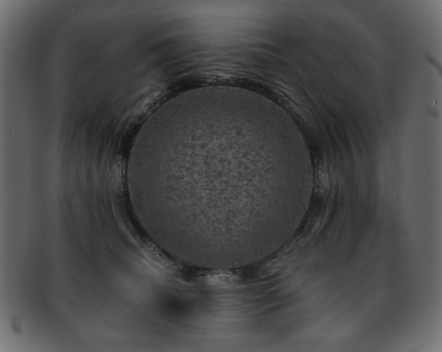 X0000093130468200709261352