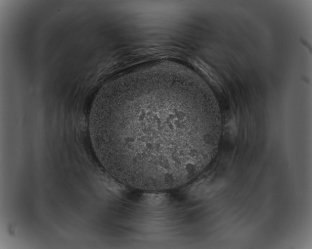 X0000093130469200709261352
